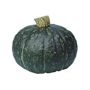 J{`  іF z nӍ̎   ƒ؉ v   _ ZNg