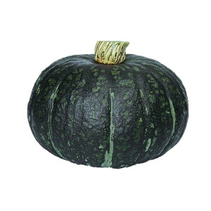 J{`  肱2 z nӍ̎   ƒ؉ v   _ ZNg