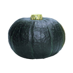 J{`  肱O z nӍ̎   ƒ؉ v   _ ZNg