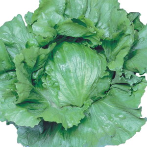 ^X  TiX z nӍ̎   ƒ؉ v   _ ZNg ؂̎ ؉  v^[͔| x_؉ v^[؉ ƒ؉S 