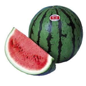 XCJ  Ԋ} z nӍ̎  ƒ؉ v Â ̔ XCJԐF 햳 q  R͔| ʕ ØI XCJ  XCJ̎ XCJ̕c ʂ ʃXC