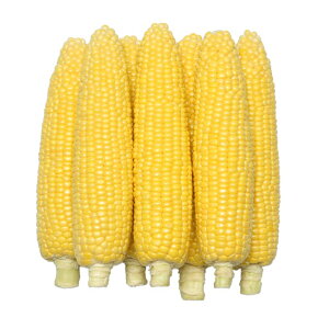 gERV  ߂Ƃ݂90 z XC[gR[ nӍ̎   ƒ؉ v   _ ZNg