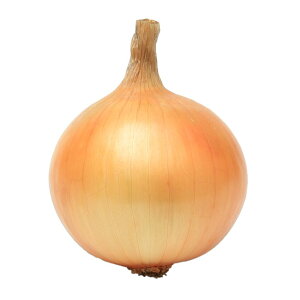 ʂ˂  L[p[808 z ^}lM nӍ̎   ƒ؉ v   _ ZNg