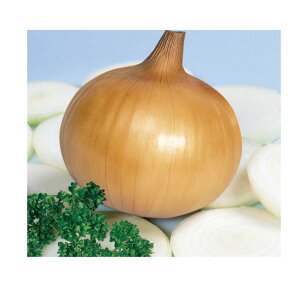 ʂ˂  bL[ z ^}lM nӍ̎   ƒ؉ v   _ ZNg