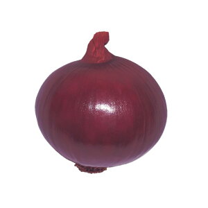 ʂ˂  b[W z ^}lM nӍ̎   ƒ؉ v   _ ZNg