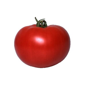 g}g  CFk z nӍ̎    ^l v ƒ؉ _ ZNg  g}g   g}g̎ Â i ؎  ؉ ƒ؉g}g R͔|  