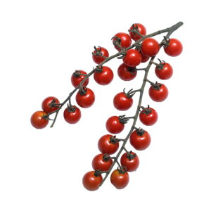 g}g  ~jbN z nӍ̎    ^l v ƒ؉ _ ZNg  g}g   g}g̎ Â i ؎  ؉ ƒ؉g}g R͔|