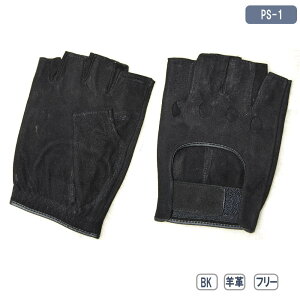 _LO ^ hCrO O[u UbNX w rv ubN ԗp JOYFIT PS-1