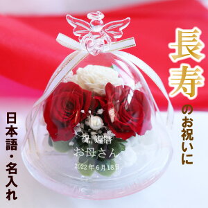 ԐF җj  {꒤  O GWF KXh[ vU[uht[ Vg n[g̓ Mtg  Ԍt vU o [Y \t[ p[ {