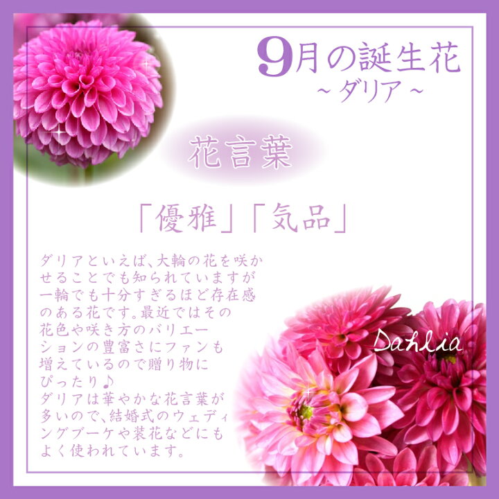 楽天市場 9月生まれ 名入れ プレゼント 誕生月 キャンドルホルダー 誕生花 ダリア ジェル キャンドル ホルダー プリザーブドフラワー 花言葉 記念屋 Atelier Ryokuei