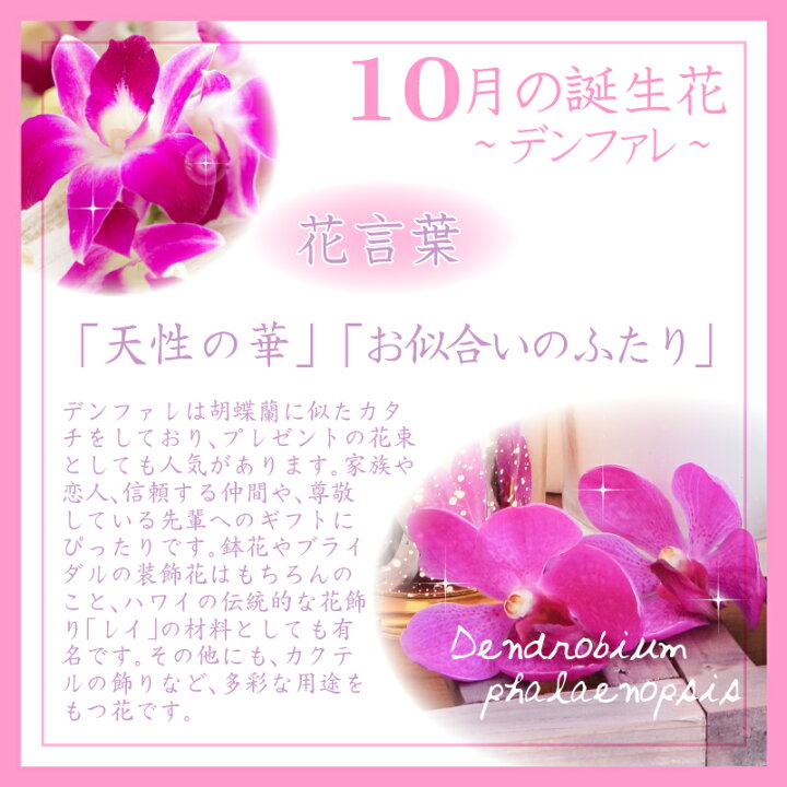 楽天市場 10月生まれ 名入れ プレゼント 誕生月 キャンドルホルダー 誕生花 デンファレ ジェル キャンドル ホルダー プリザーブドフラワー 花言葉 記念屋 Atelier Ryokuei 楽天市場 10月生まれ 名入れ プレゼント 誕生月 キャンドルホルダー 誕生花 デンファレ ジェル キャンドル ホルダー プリザーブドフラワー 花言葉 記念屋 Atelier Ryokuei