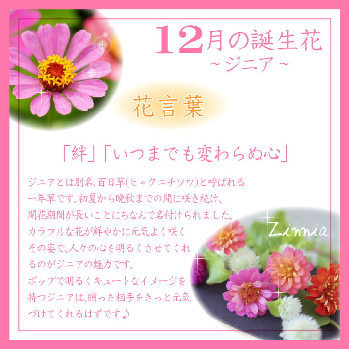 楽天市場 12月生まれ 名入れ プレゼント 誕生月 キャンドルホルダー 誕生花 ジニア ジェル キャンドル ホルダー プリザーブドフラワー 花言葉 記念屋 Atelier Ryokuei
