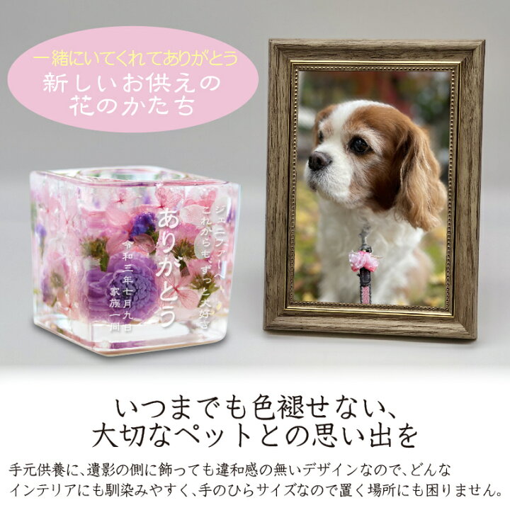 楽天市場 仏花 プリザーブドフラワー お供え ペット 名前 命日 キャンドルホルダー ジェル キャンドル 花言葉 名入れ 記念屋 Atelier Ryokuei