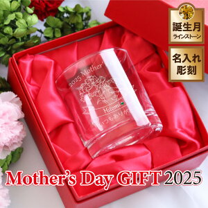 ̓ v[g Mtg  OX J[l[V  O XtXL[ Rbv bNOX 2025