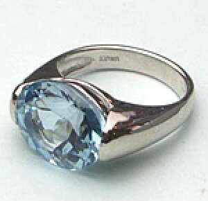 yWG[tH[z߃VvOPT900(tH[AZ~I[_[p