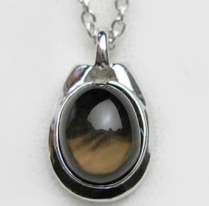 X[L[NH[c̈⍜y_gi傫߁jVo[`F[t