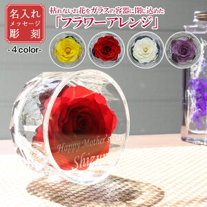 vU[ut[ {gt[ OXt[  bZ[W v[g 蕨 o ͂Ȃ Mtg t[Mtg  킢 Fl j LO a j 