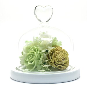 vU[uht[  v[g t[Mtg a 蕨 o t[AWg ͂Ȃ vUt[ KXh[ n[gKX j j LOi e 