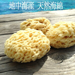 【美肌】天然海綿スポンジ お得な5個セット ちょっと訳あり ハニカム ハニコム 地中海産 エーゲ海 特価 アウトレット フェイシャルスポンジ ボディスポンジ 海綿 メール便可