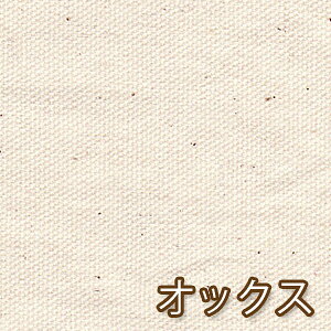 yz{ IbNX 50cmP obO \t@Jo[ Vc pc Rbg100% n Y IB