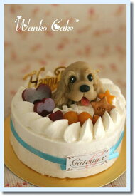 ワンコケーキ*フルーツデコレーションケーキ*M（犬用ケーキ・犬ケーキ・誕生日）