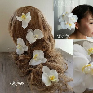 Ӓ@ OBBe@܎O lEaȂǎg@wbhRT[W@a@@_O@