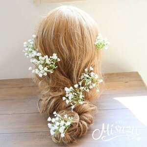 *misuzu* ȃJX~\  OBBe@܎O lEaȂǎg@wbhRT[W@