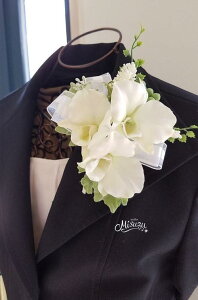 *misuzu* lCzCgnRT[W@ft@@@w@Ǝ@p[eB@Z~i[@@