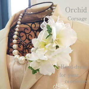 *misuzu* lCzCgnRT[W057@ft@@@w@Ǝ@p[eB@Z~i[@@