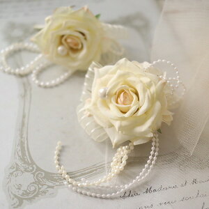 GN[Y̐eqRT[W@2Zbg@NR[f@d˕t@Ǝ@w@Ӊ@@307