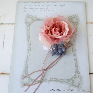 ӂփI[KW[[Yƃx[̃RT[W@؂₩@^ہ@Ӊ@l@Ǝ@w@co321