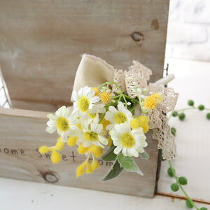 ~U}gJÃRT[W@Ǝ@w@Ӊ@v[gp@Mtg