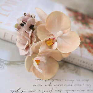 s[`ӒRT[W@Ǝ@w@Ӊ@l@\@T@268