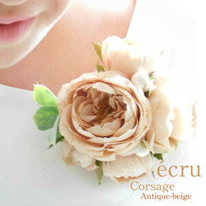 *misuzu*@ecru GN@RT[WyAeB[Nx[Wz@ƎEwETEEӉȂǂ KN@oAeB[Nx[W@117