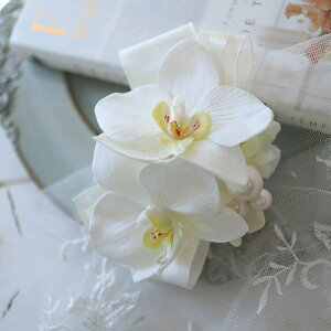 Ӓ@RT[W@p[@{@Ǝ@w@Ӊ@l@\@T@286