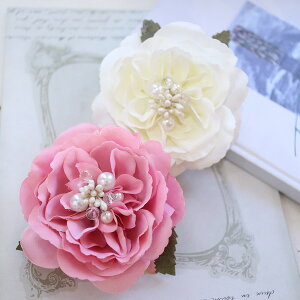 yî݁zI[v[Y@RT[W@sN@zCg@Ǝ@w@@294