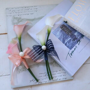 J[@RT[W@Ǝ@w@Ӊ@l@\@295