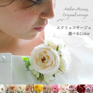 *misuzu*@ecru GN@RT[W@ƎEwETEEӉȂǂ