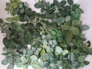 KN̗t[t@FX50IAW}@nhCh@@[XfBXvC@@EFJ{[h@Ă̍H@013