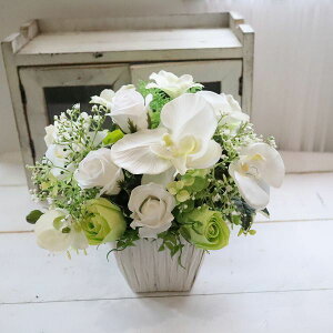 V~@ t[AWg@@\[vt[ łC͂܂@͂Ȃ  sv