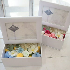 ʐ^t[AW{bNX@tHgt[@vU[uht[@݁@