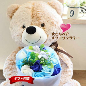 *misuzu*MtgœK _炩ȃA}ʁIV{u[P傫ȃN}@@jEEʁEa@tt܁@bZ[WJ[hM\@sv\[vt