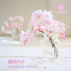 魔法の水 マジカルウォーター sakura 桜　ソメイヨシノ サクラ インテリア ギフト カラフェ バースデー お祝い お見舞い