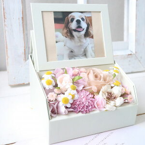 ̋n̎q ԂƉ߂At[@ybgX@݁@@572