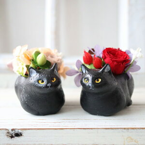 ԍ炭L@o@~jAWg@av[g@̓@j@Vzj@586