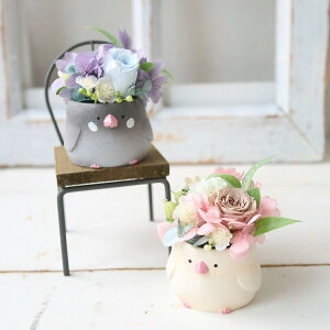 ԍ炭@o@~jAWg@av[g@̓@j@Vzj@587