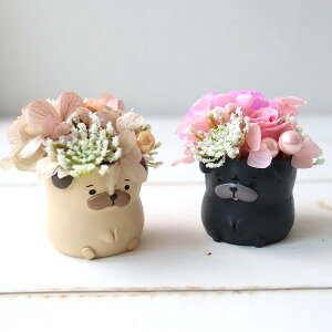 ԍ炭pO@o@~jAWg@av[g@̓@j@Vzj@593