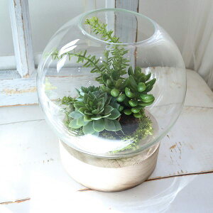 eE@LED@A@O[vc@X܁@fBXvC@T@JX@365