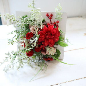 EH[AW(RED)@Ǌ|@@җ@X܁@fBXvC@T@JX@397