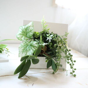 EH[AW(GREEN)@Ǌ|@@җ@X܁@fBXvC@T@JX